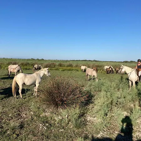 Authentique Roulotte En Camargue Tente de luxe *