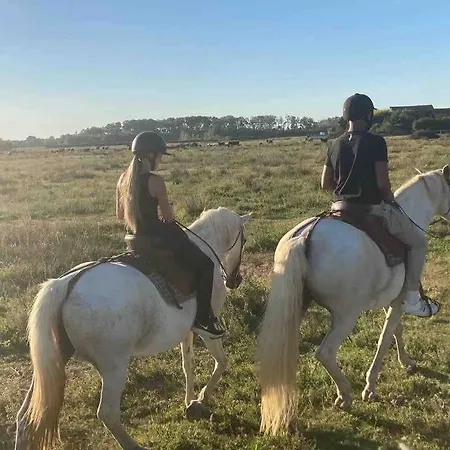 Authentique Roulotte En Camargue Tente de luxe *