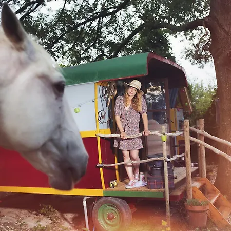 Authentique Roulotte En Camargue Tente de luxe