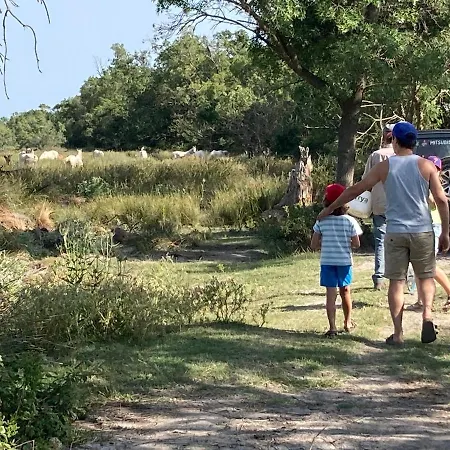 ラグジュアリーテント Authentique Roulotte En Camargue アルル
